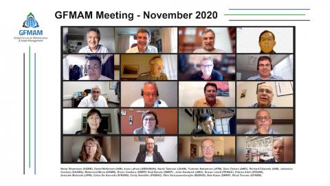 Many faces as captured in the online meeting